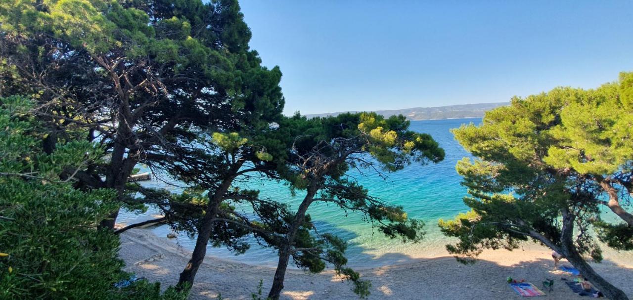 Sagitta All Inclusive Light Rogoznica  Exterior foto